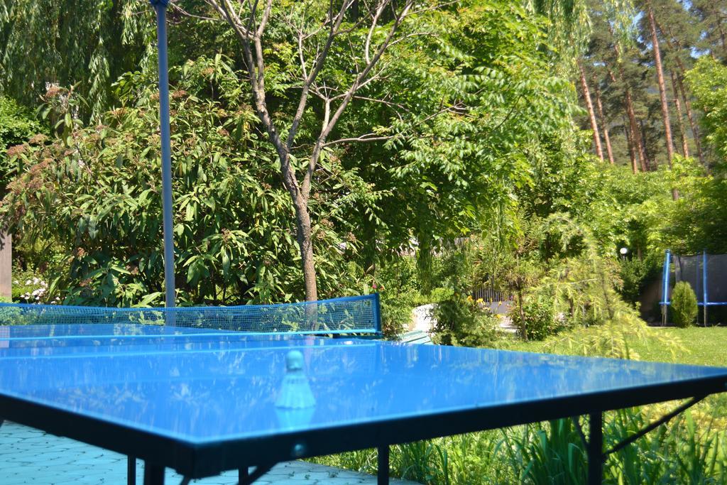 Motion Hotel Borjomi ภายนอก รูปภาพ