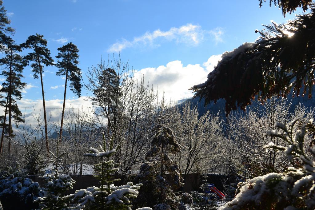 Motion Hotel Borjomi ภายนอก รูปภาพ
