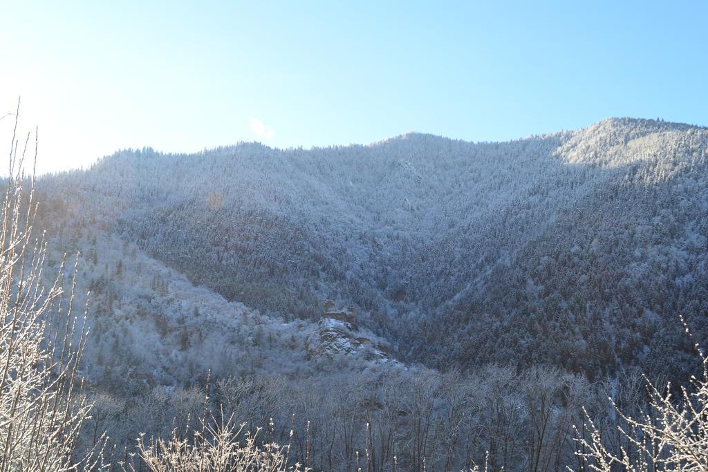 Motion Hotel Borjomi ภายนอก รูปภาพ