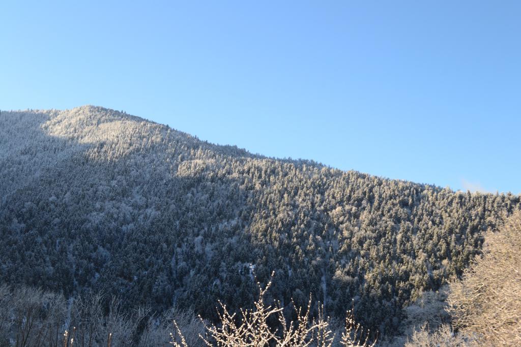 Motion Hotel Borjomi ภายนอก รูปภาพ